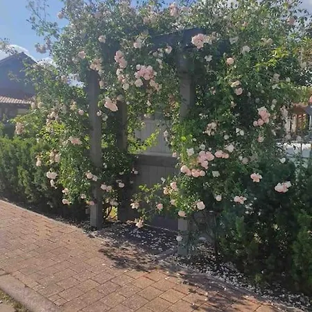 Wohlfuehloase Auf 133-160qm In Der Idylle An Der Nahe Apartmán Duchroth